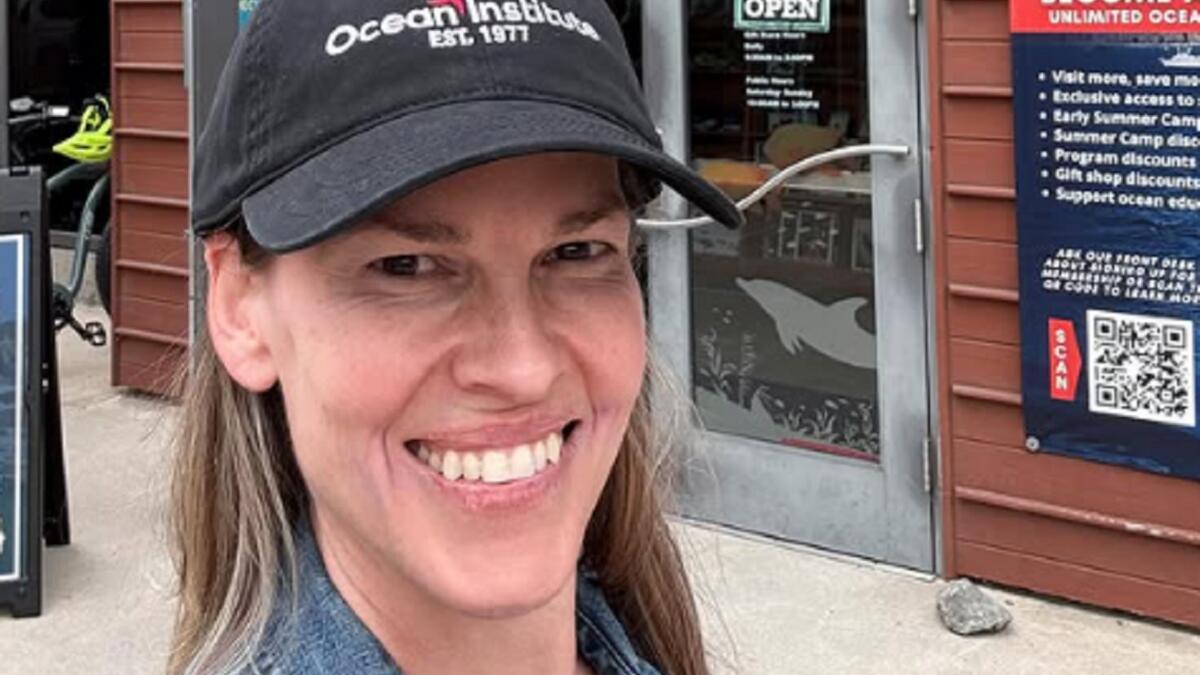 Grávida aos 52 anos. Atriz Hilary Swank espera o terceiro filho
