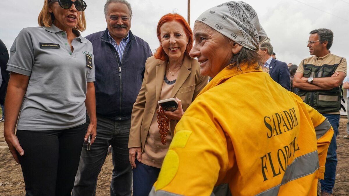 Urgent Action Needed: Portugal's Environment Minister Warns of Landslides and Water Contamination from Wildfire Ash