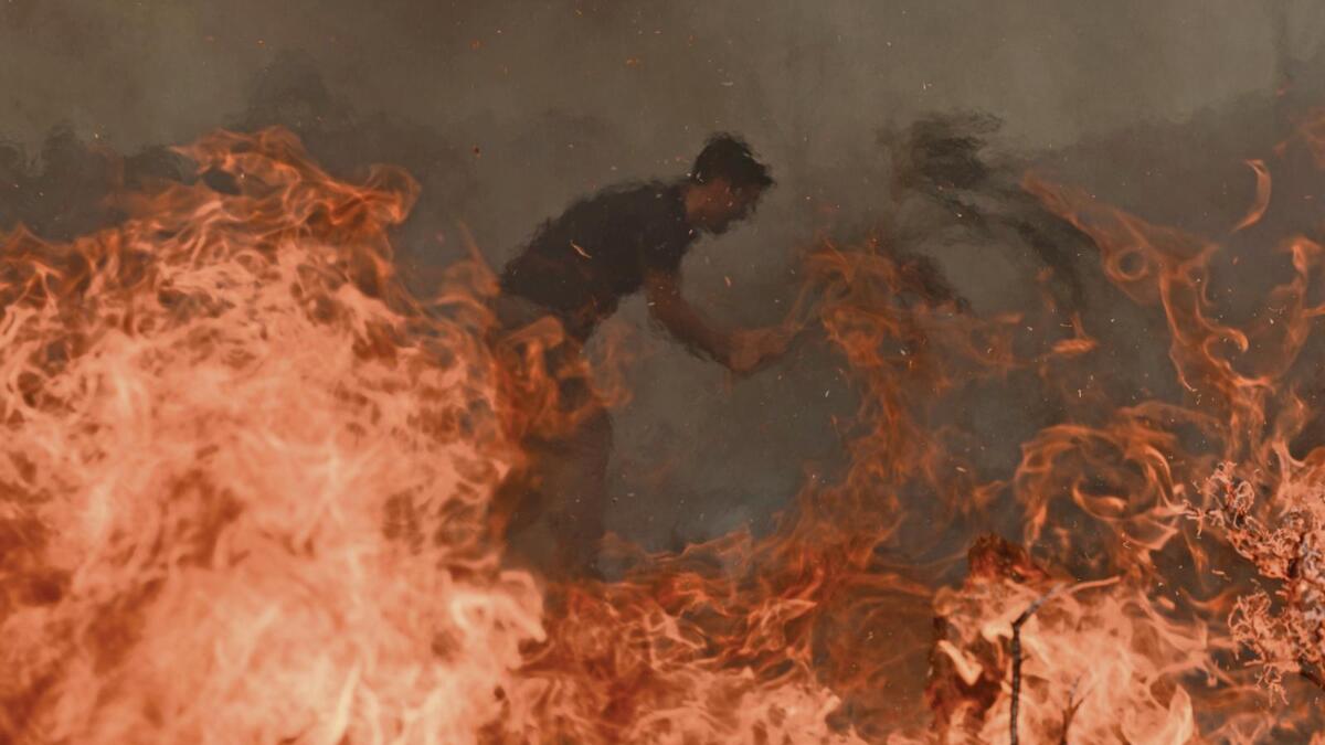 In a Europe warming like nowhere else, Portugal is in the eye of the storm