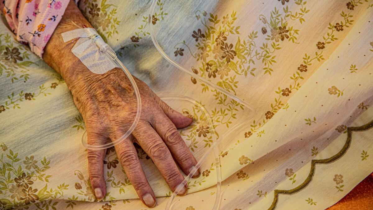 Portugal recorded 237 excess deaths during heatwave