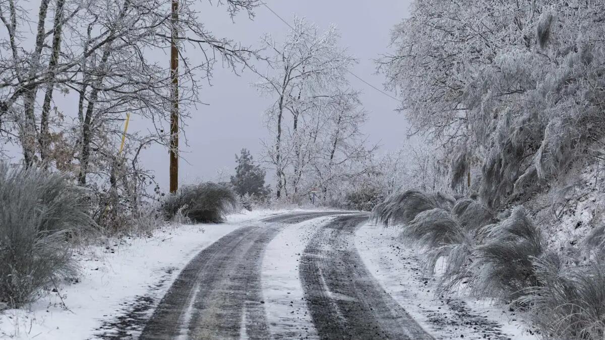 Queda de neve deixa dez distritos sob aviso amarelo