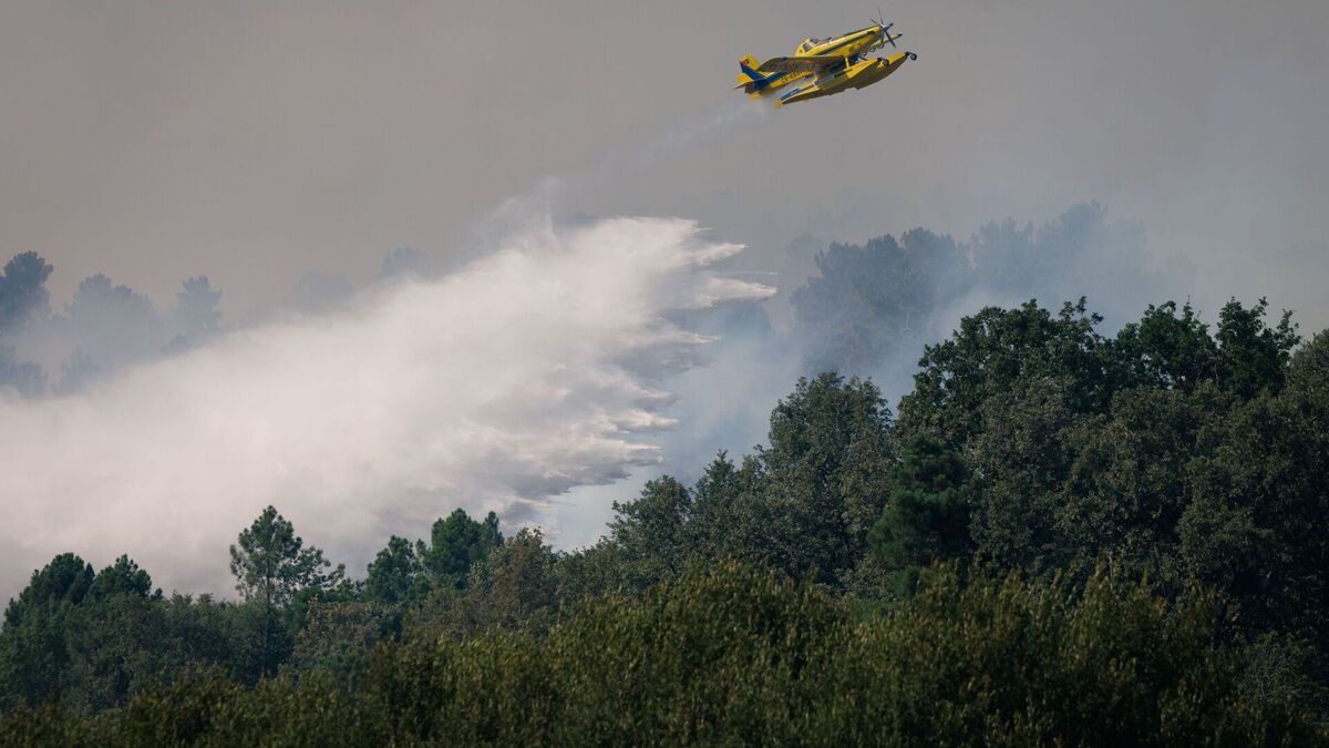 Northern Portugal Battles Three Major Wildfires as Civil Protection Mobilizes Over 1,100 Personnel