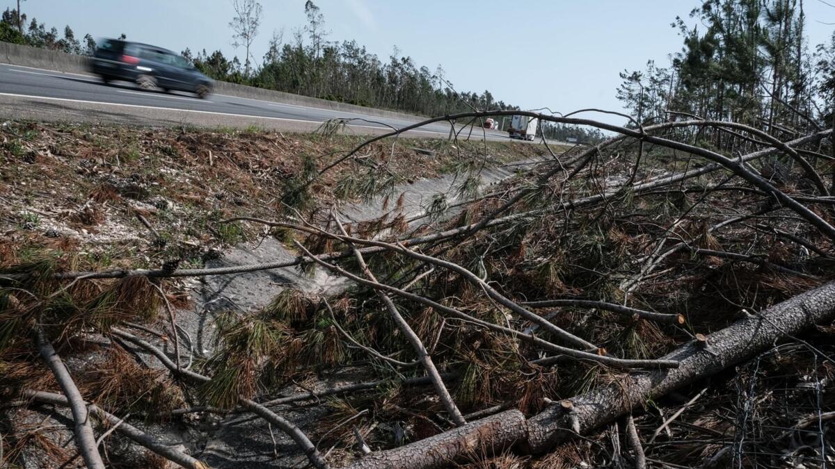 Penela insists that Infraestruturas de Portugal reopen road closed for four months