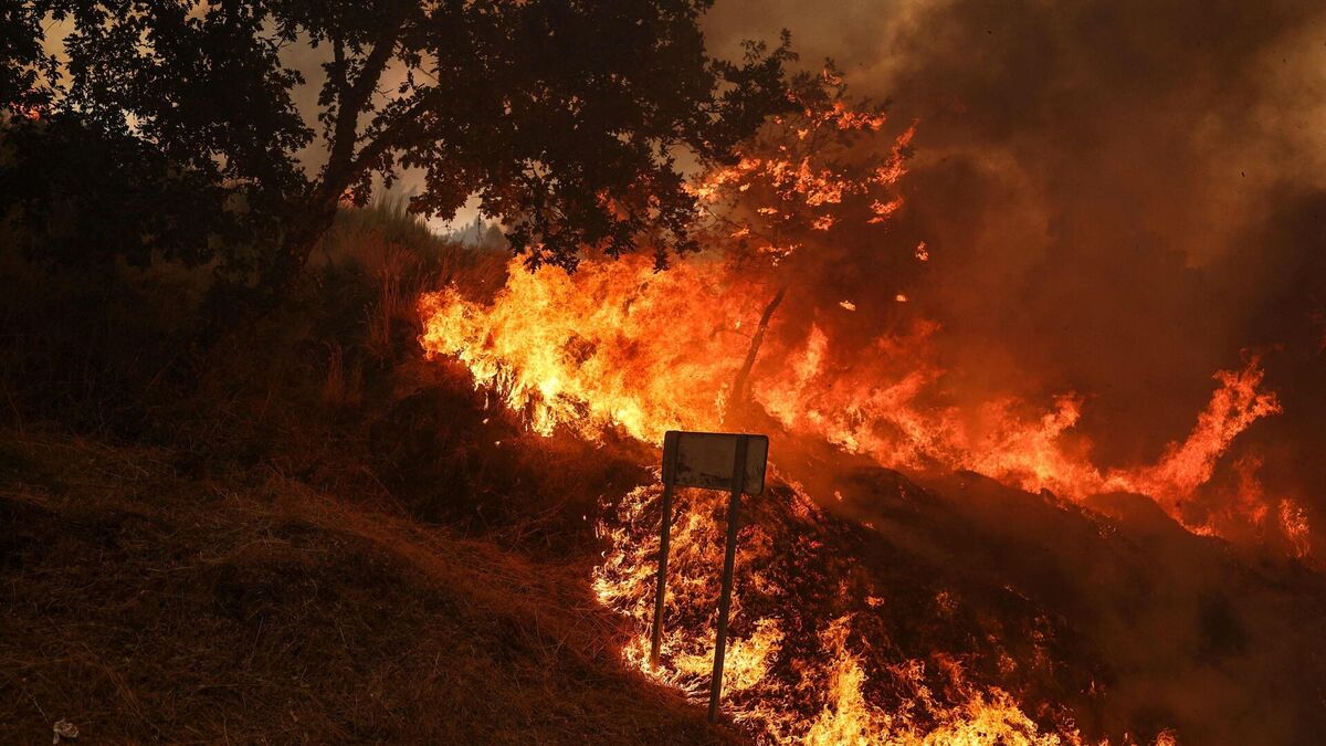 Wildfires Spread to Ten Municipalities in Portugal: A State of Emergency