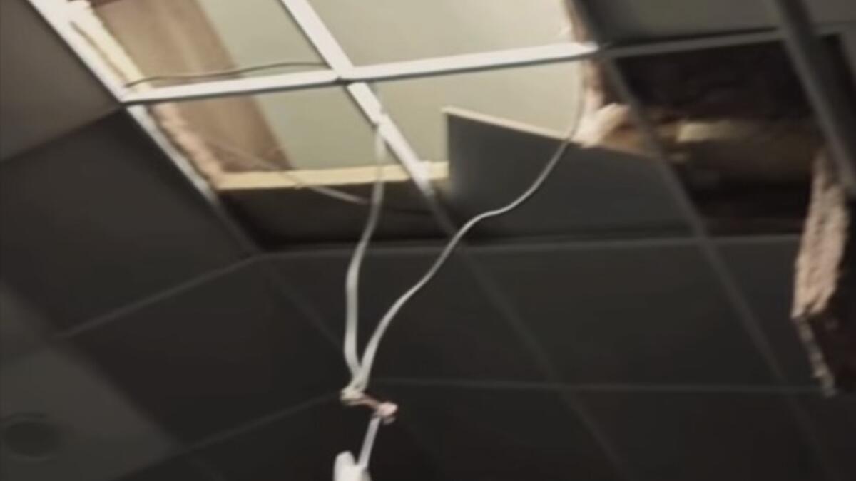 Conservatório Anarella Sanchez, em Leiria, precisa de apoio urgente