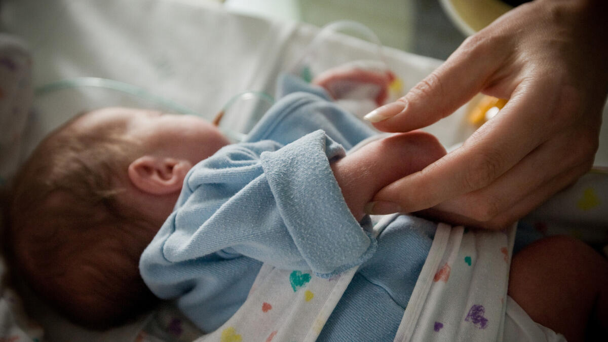 Portugal maintains upward trend in births - Jornal de Notícias