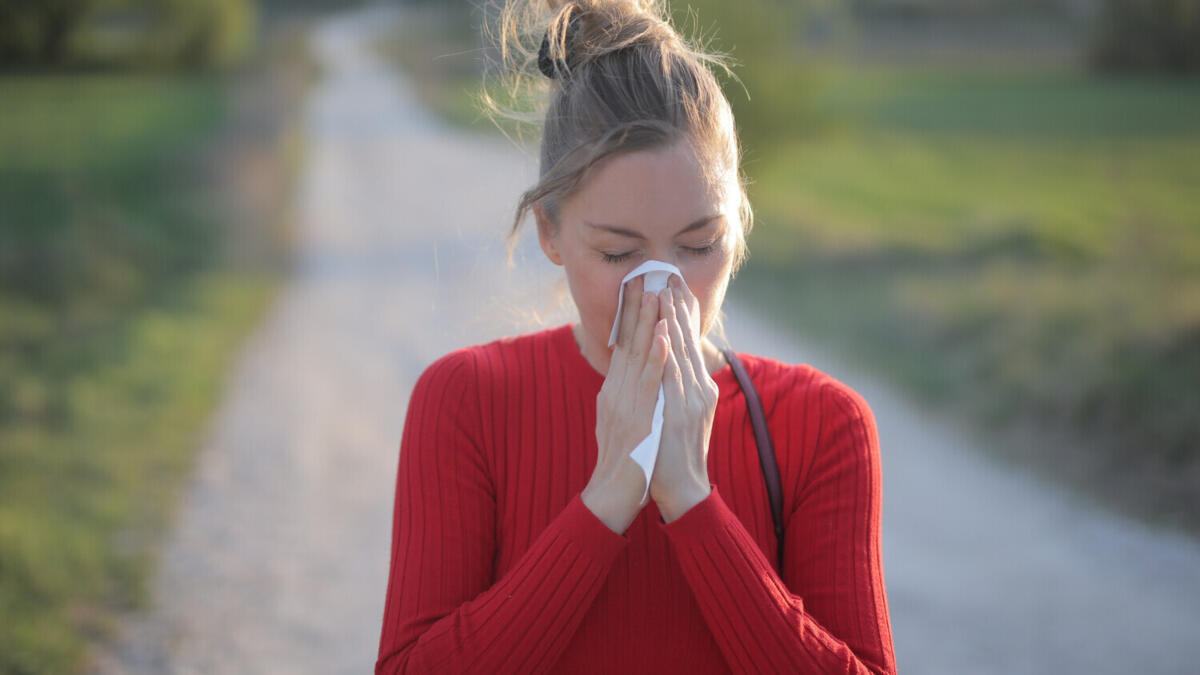 Portugal to experience high pollen levels next week