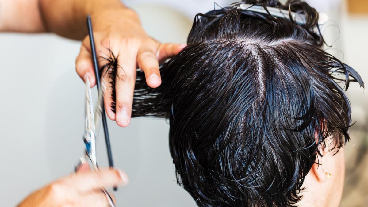 From hairdressing to robotics, Portugal takes seven professions to world competition