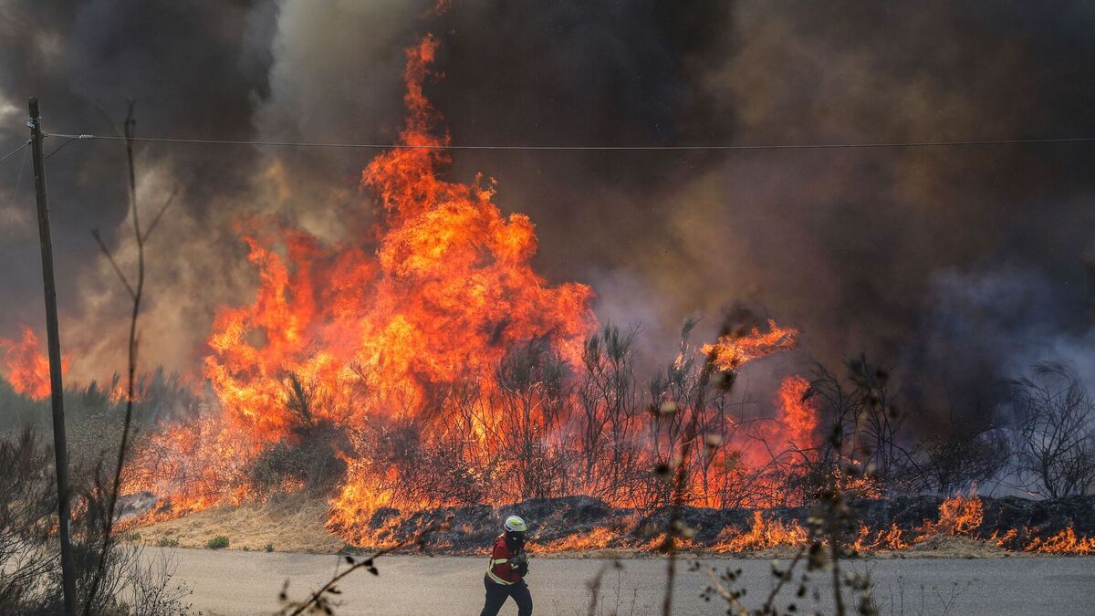 Wildfire Reaches Highest Peaks of Serra da Estrela, Threatening Portugal's Natural Landmark