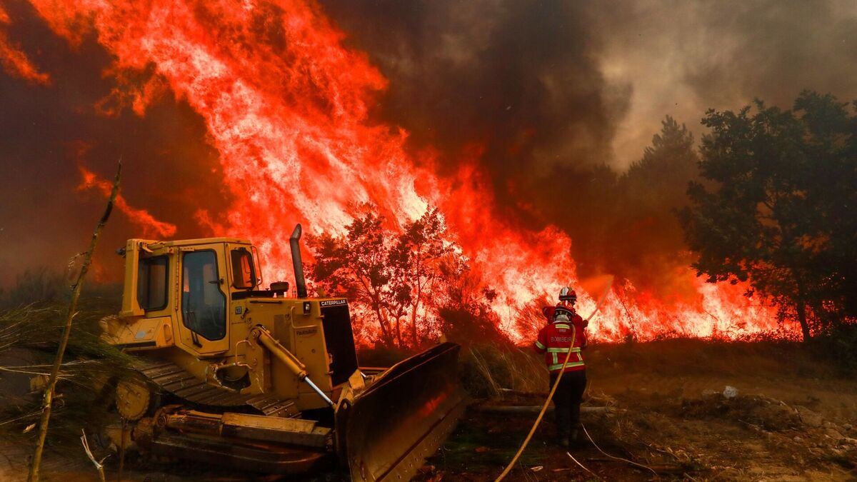 Wildfire Threatens Fornos de Algodres Village as Trancoso Blaze Rages On