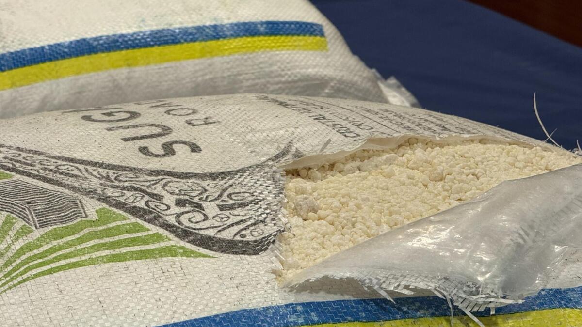 Ton of cocaine that entered Portugal was hidden in sugar bags