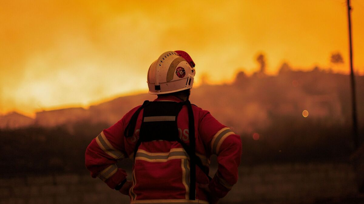 Vila Real: A Decade of Slow-Burning Fire Crisis Calls for Urgent Action