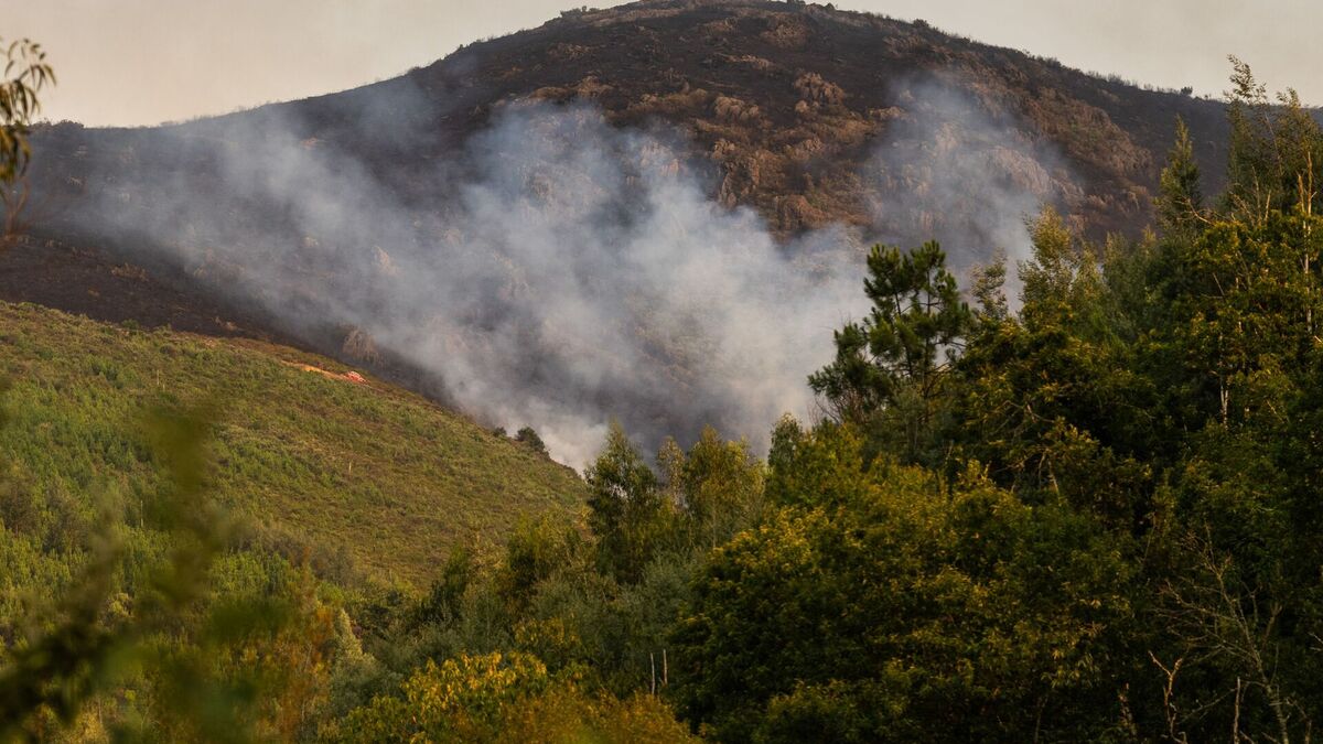 High Fire Danger and Severe Weather Alert: Over 20 Portuguese Municipalities at Maximum Risk