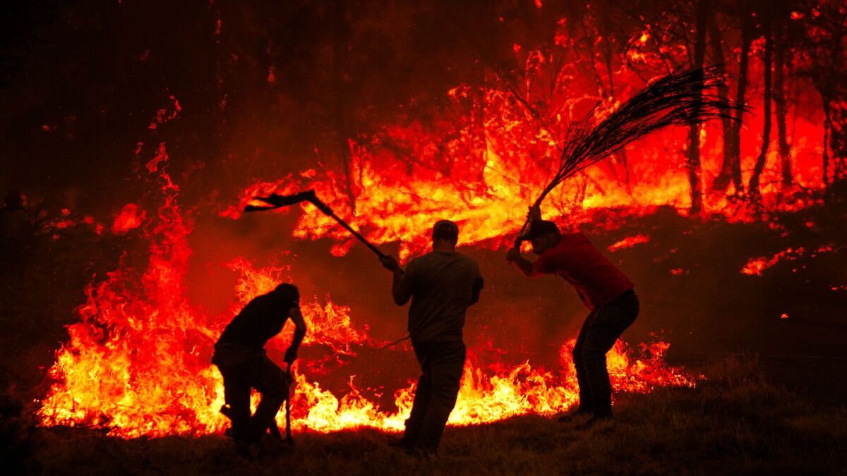 Night of Flames: Villagers Unite in Paredes to Combat Wildfire Threat in Alvão Mountains