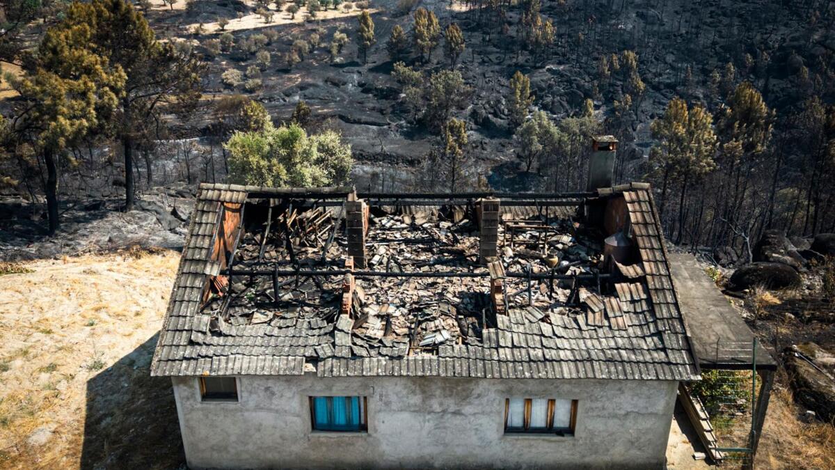 Mais de 500 operacionais combatem fogo de Valpaços que está em resolução