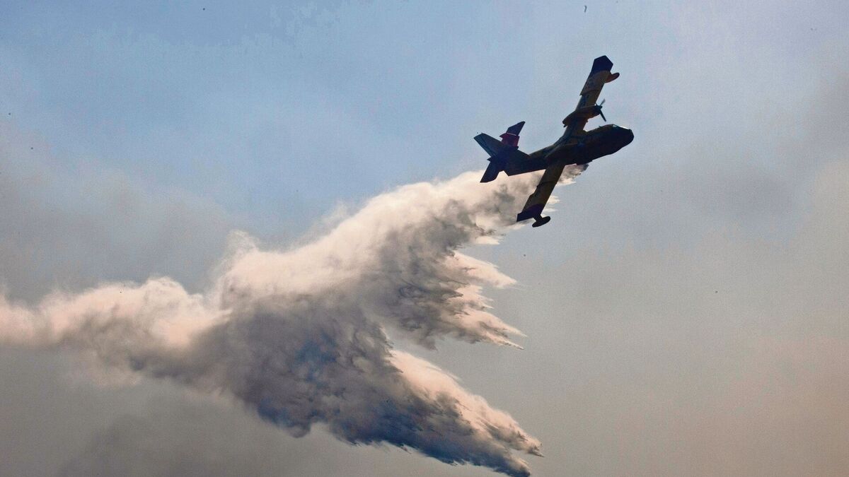 Wildfires Rage Again in Pedrógão: IC8 Cut and Flames Spread to Sertã