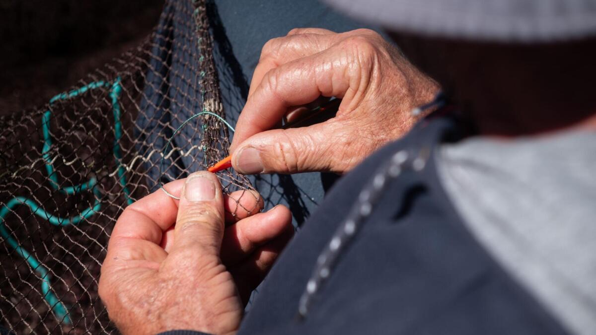 European Commission opens proceedings against Portugal over fisheries control failures
