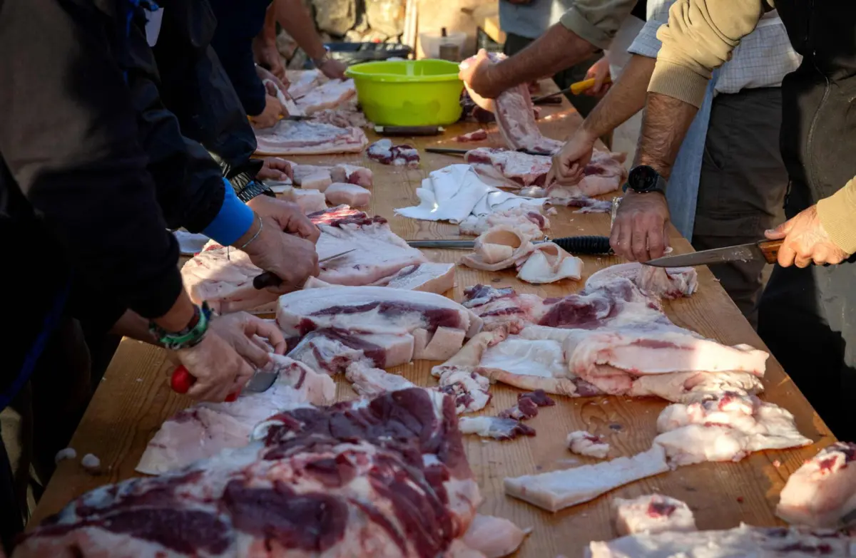 A carne é uma das principais fontes de infeção