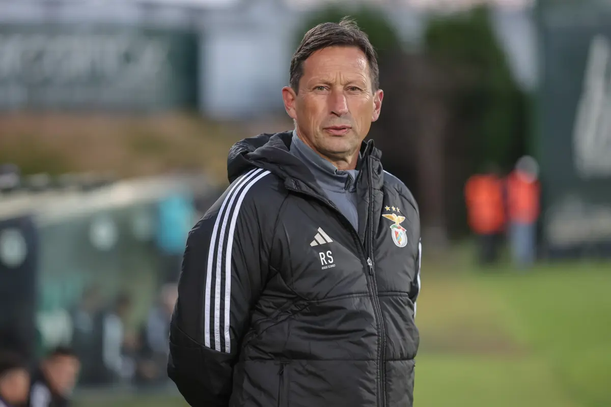 Schmidt quer plantel completo