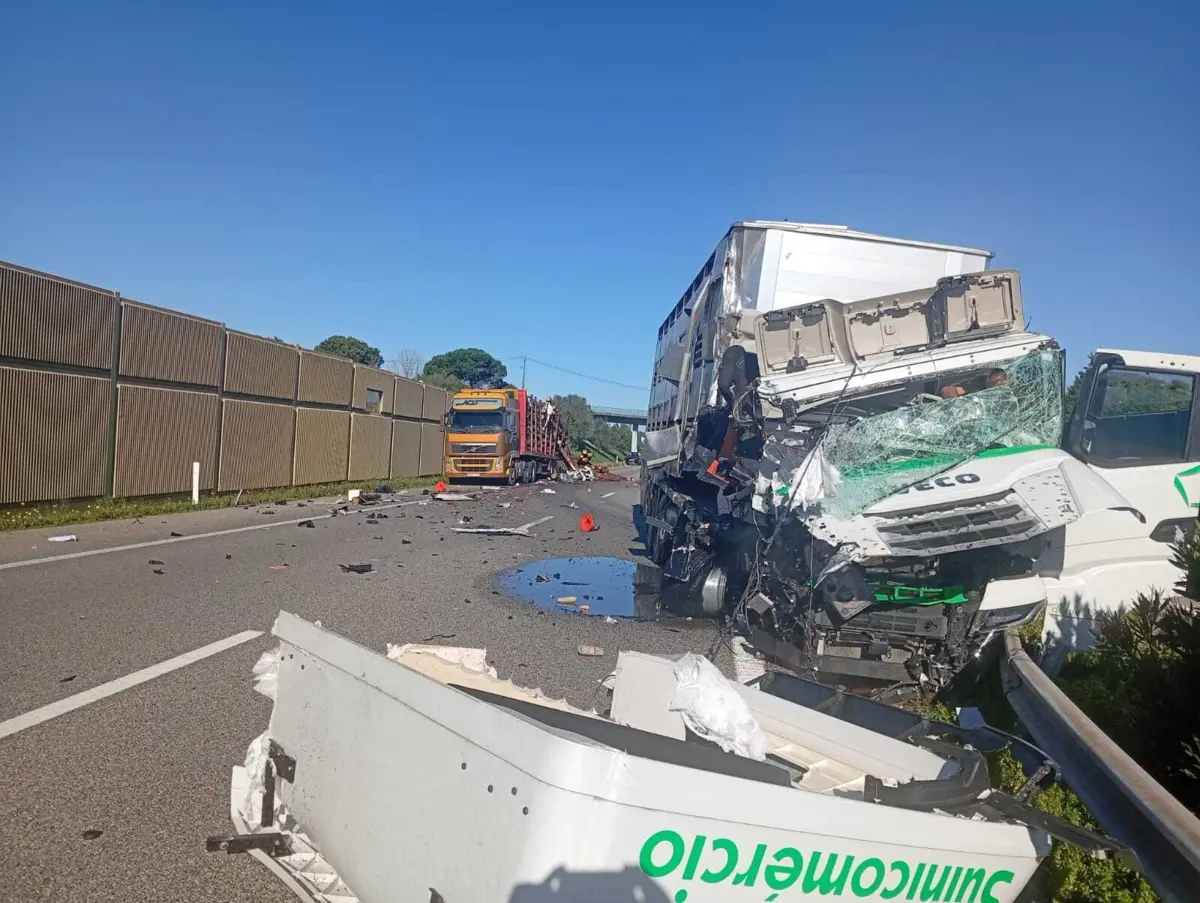 Tratou-se de uma colisão entre dois veículos pesados, antes das 14 horas, que não causou feridos