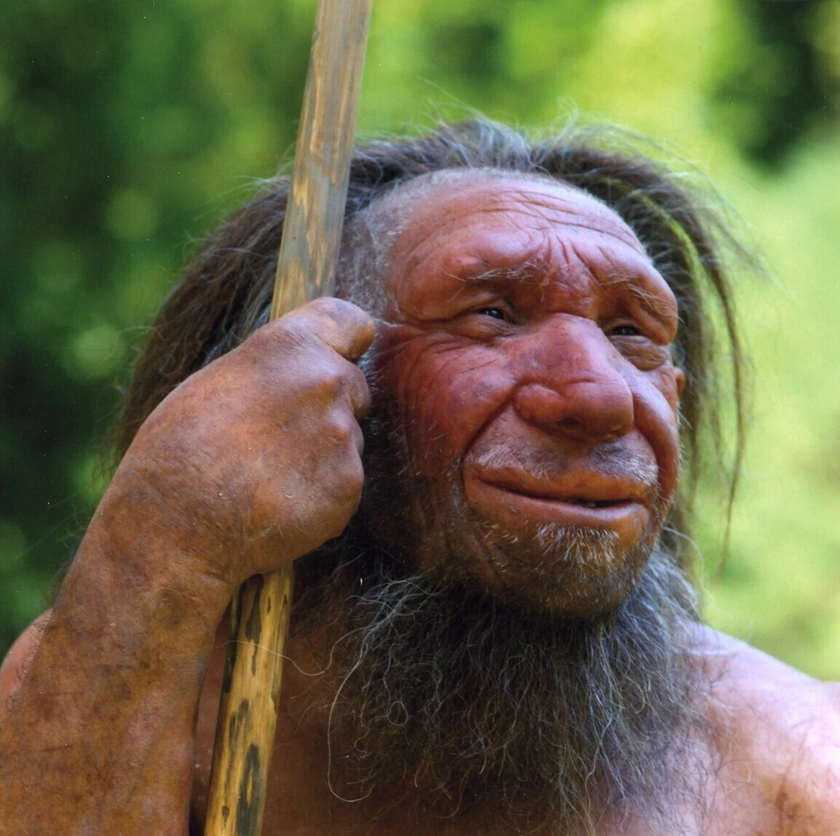 Imagem de contexto do artigo Tem amigos que gostam de acordar cedo? Podem ter genes de Neandertal