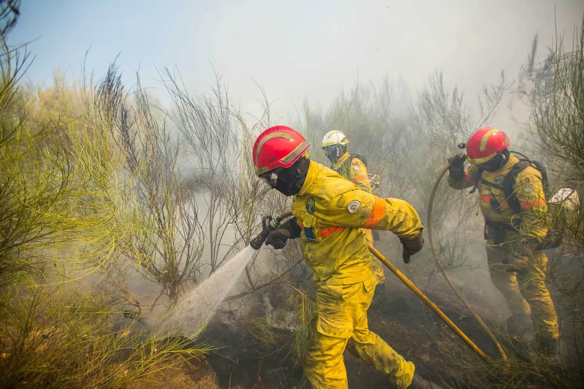 Pedidos de licenças para queimas e queimadas são mais de um milhão por ano