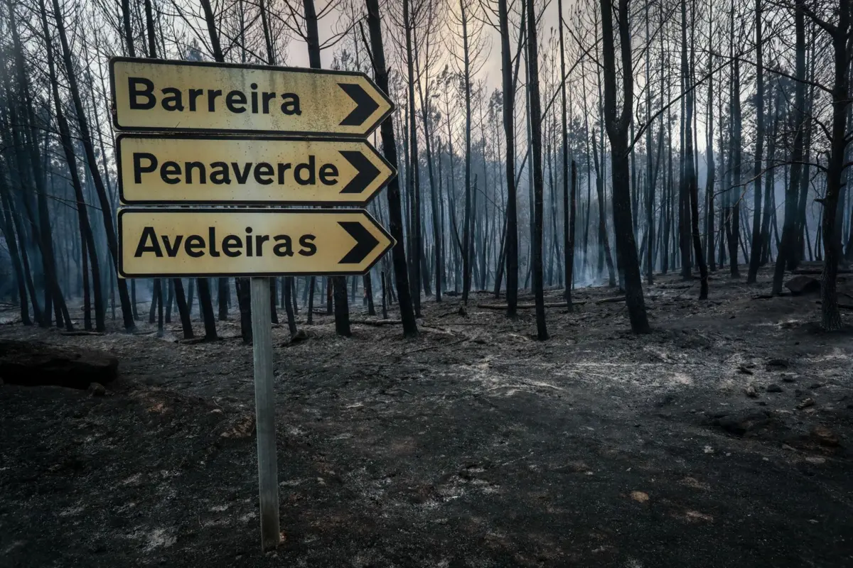 Incêndio que começou em Trancoso alastrou para os concelhos de Fornos de Algodres, Aguiar da Beira e Celorico da Beira