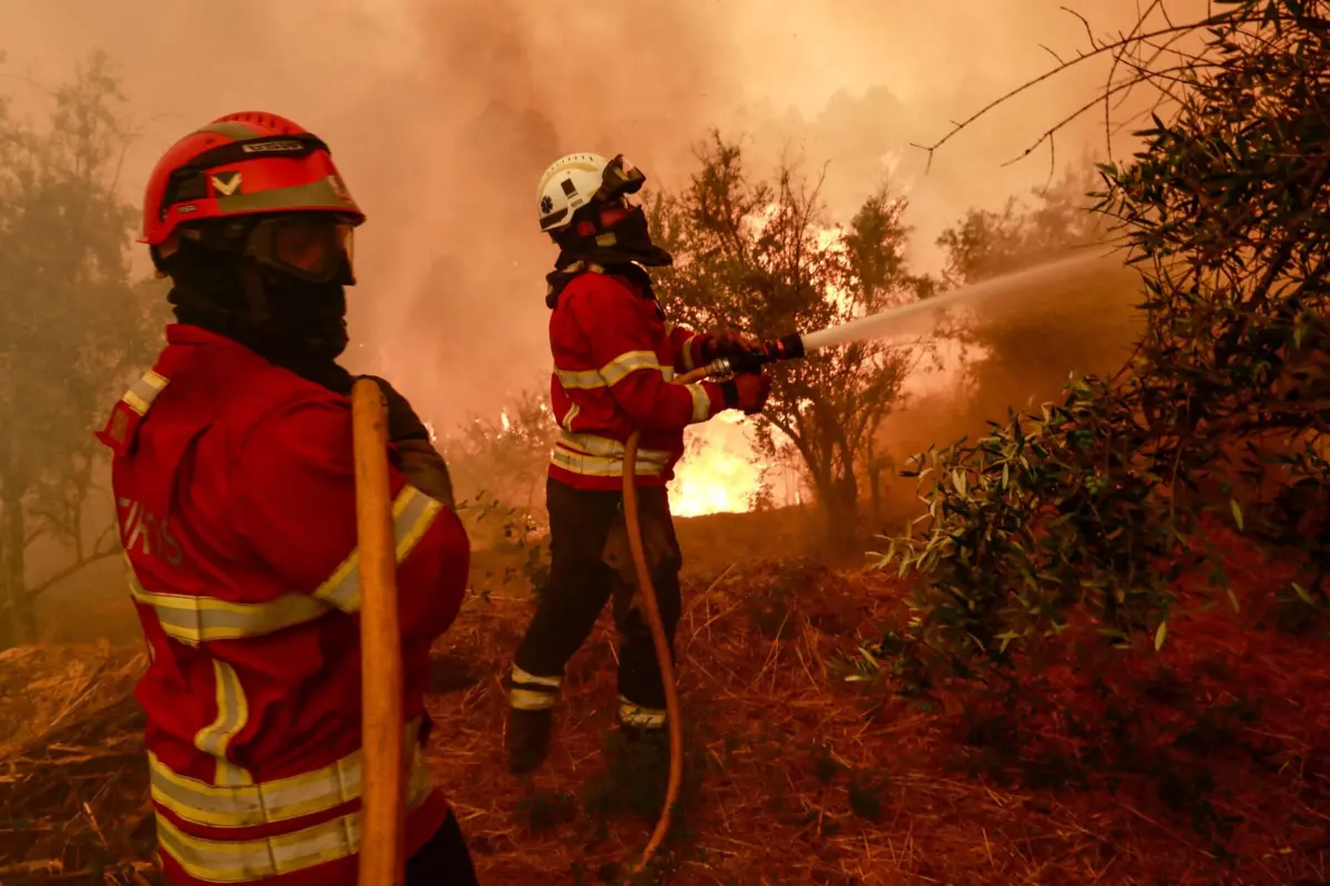 Segundo dados oficiais provisórios, até 21 de agosto arderam 234 mil hectares no país