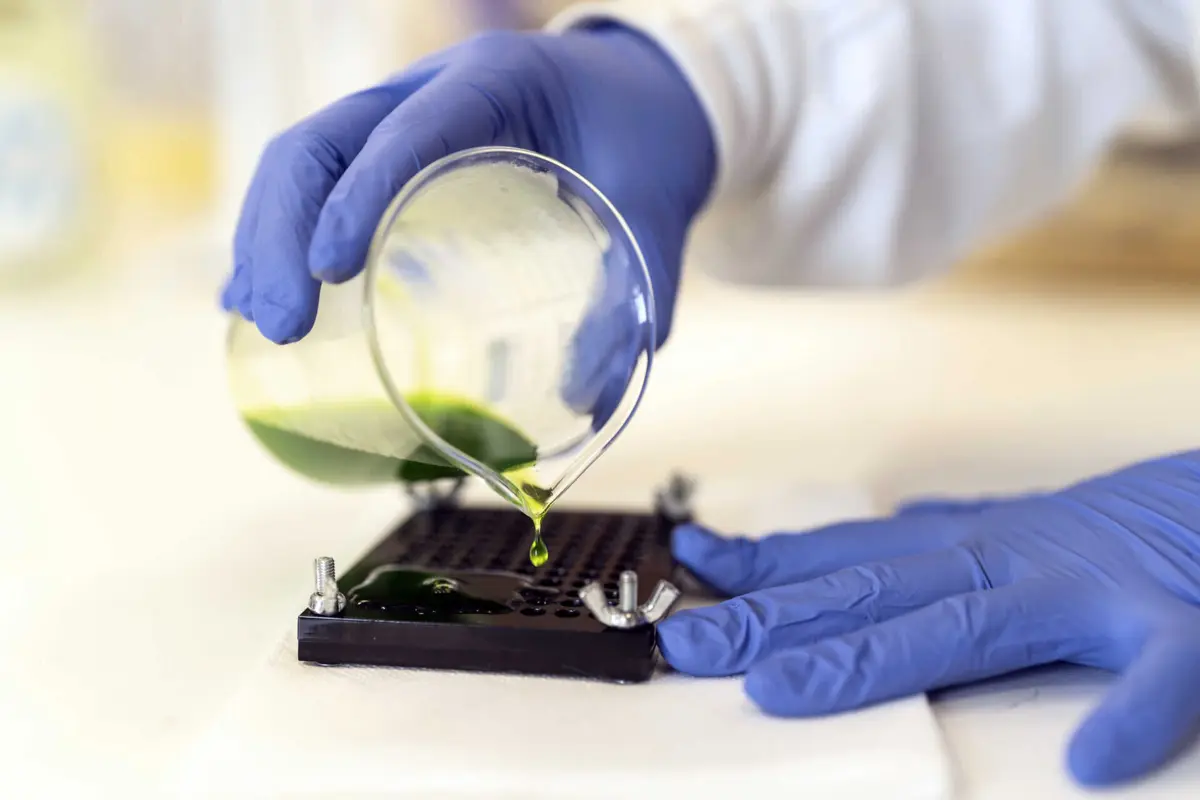 laboratório está “muito próximo” da delegação do CICV em Goma