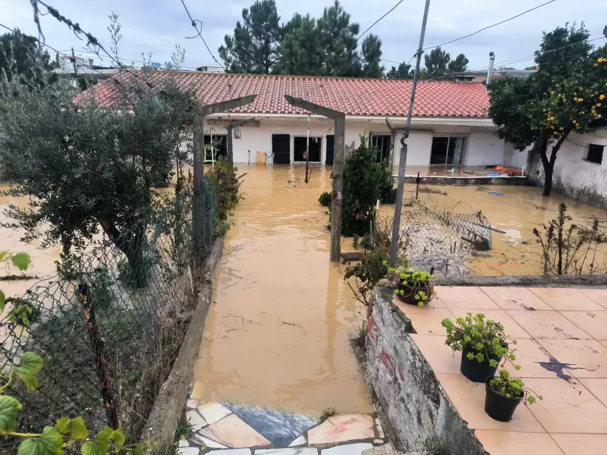 Morte de casal de idosos no Seixal foi o caso mais grave