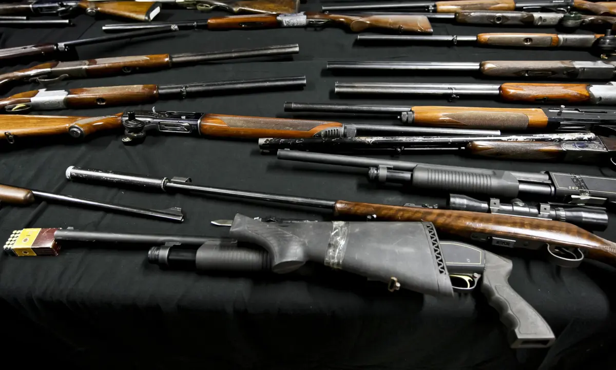 Armas apreendidas na residência da suspeita são de cariz militar