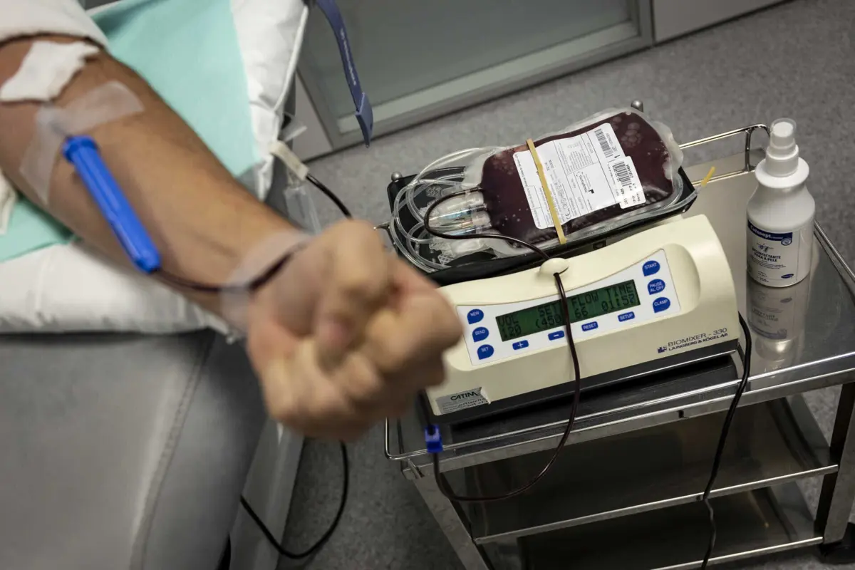 Recolha de sangue vai ser com agulha e seringa, por punção, em qualquer um dos braços, na zona do sangradouro