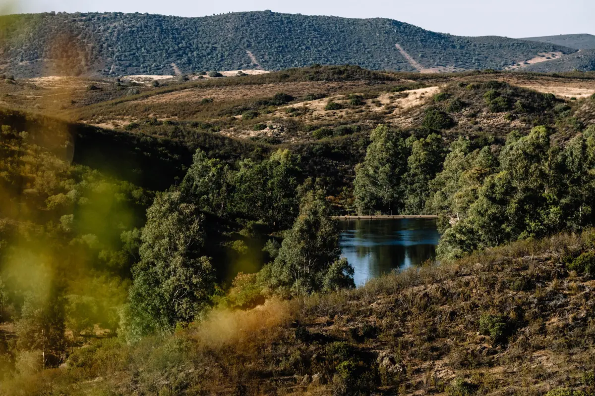 Área terrestre legalmente protegida fica aquém do mínimo de 30% exigido