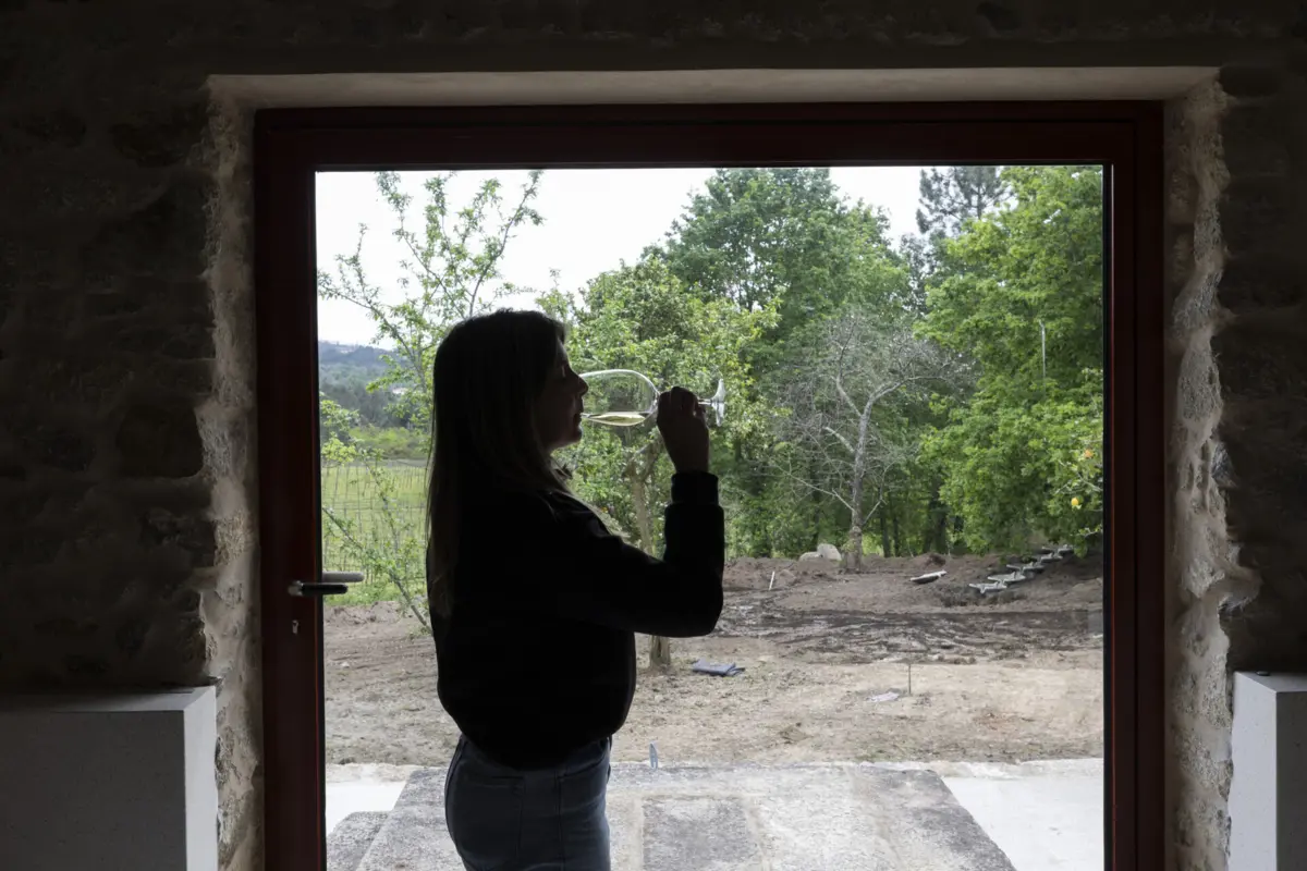 Braga celebra vinho verde durante três dias