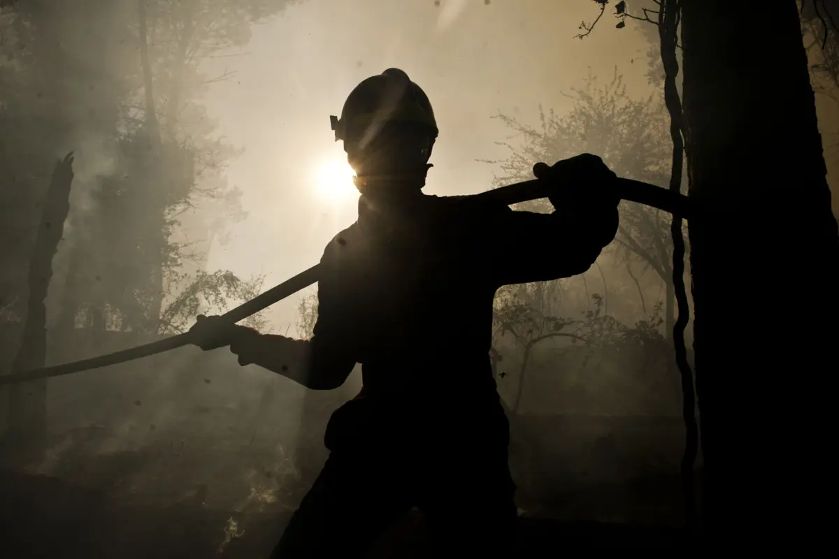 Incendiário agiu alcoolizado e ateou quatro fogos em Sever do Vouga.