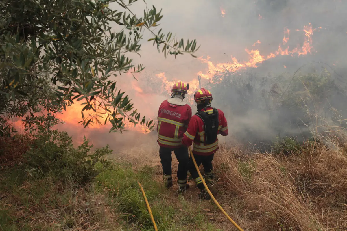 Bombeiros combateram as chamas apesar de o detido se recusar a tirar o carro