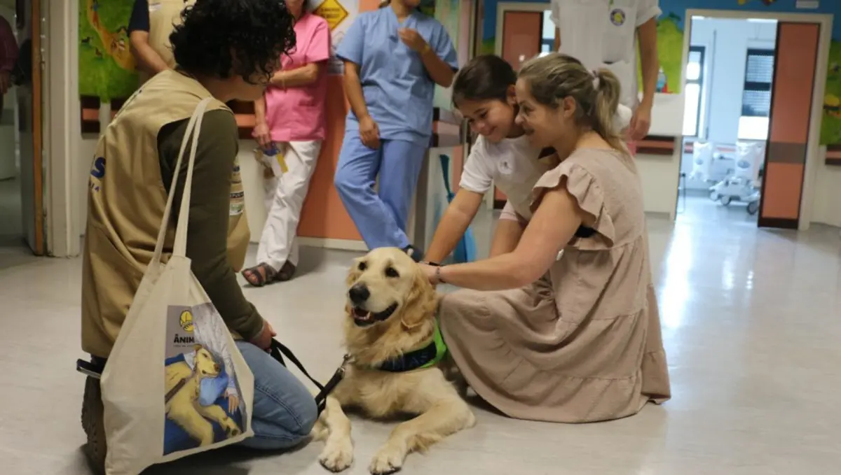 Zazu visitou os utentes internados na Pediatria