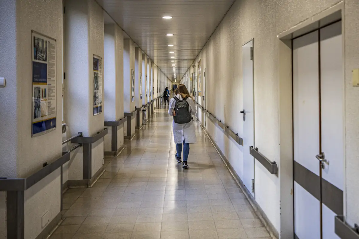 Crianças foram tratadas no Hospital de Santa Maria, em Lisboa