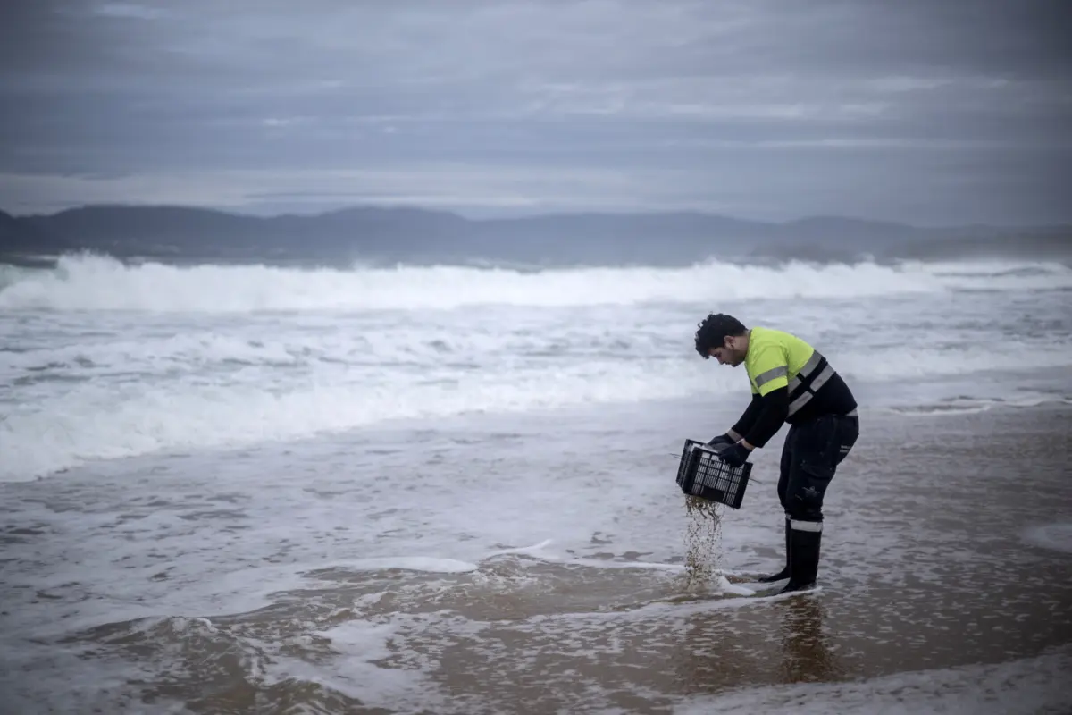 Imagem de contexto do artigo "Maré de plástico" em praias espanholas pode afetar Portugal
