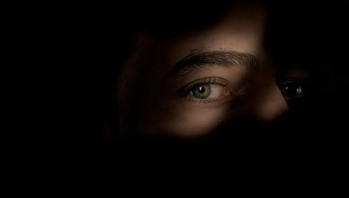 Imagem de contexto do artigo As (micro)câmaras de todos os perigos