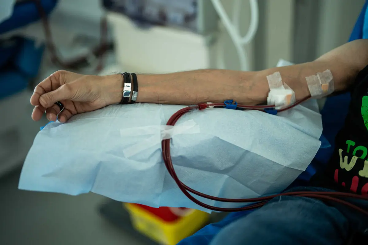 Investigação foi feita em Portugal ao longo de quatro anos