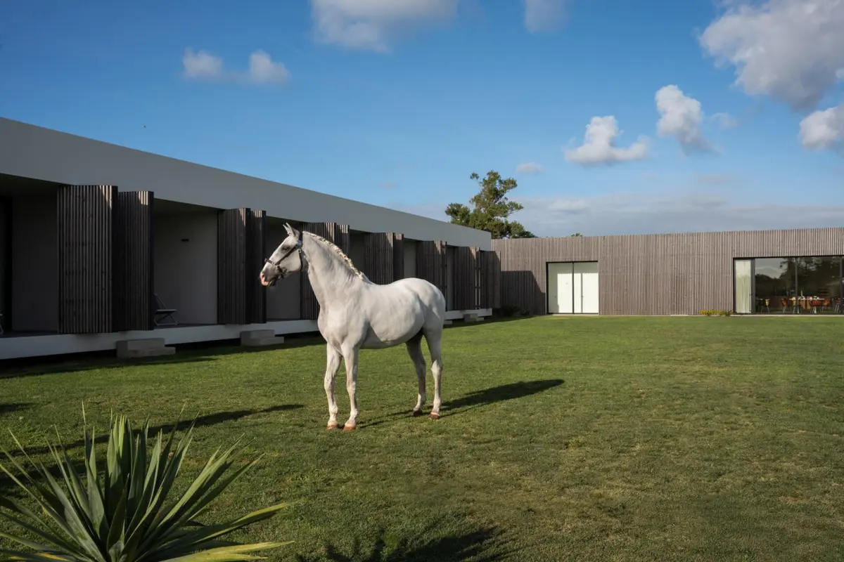 Lusitano Garden Villas, Ponta Delgada.