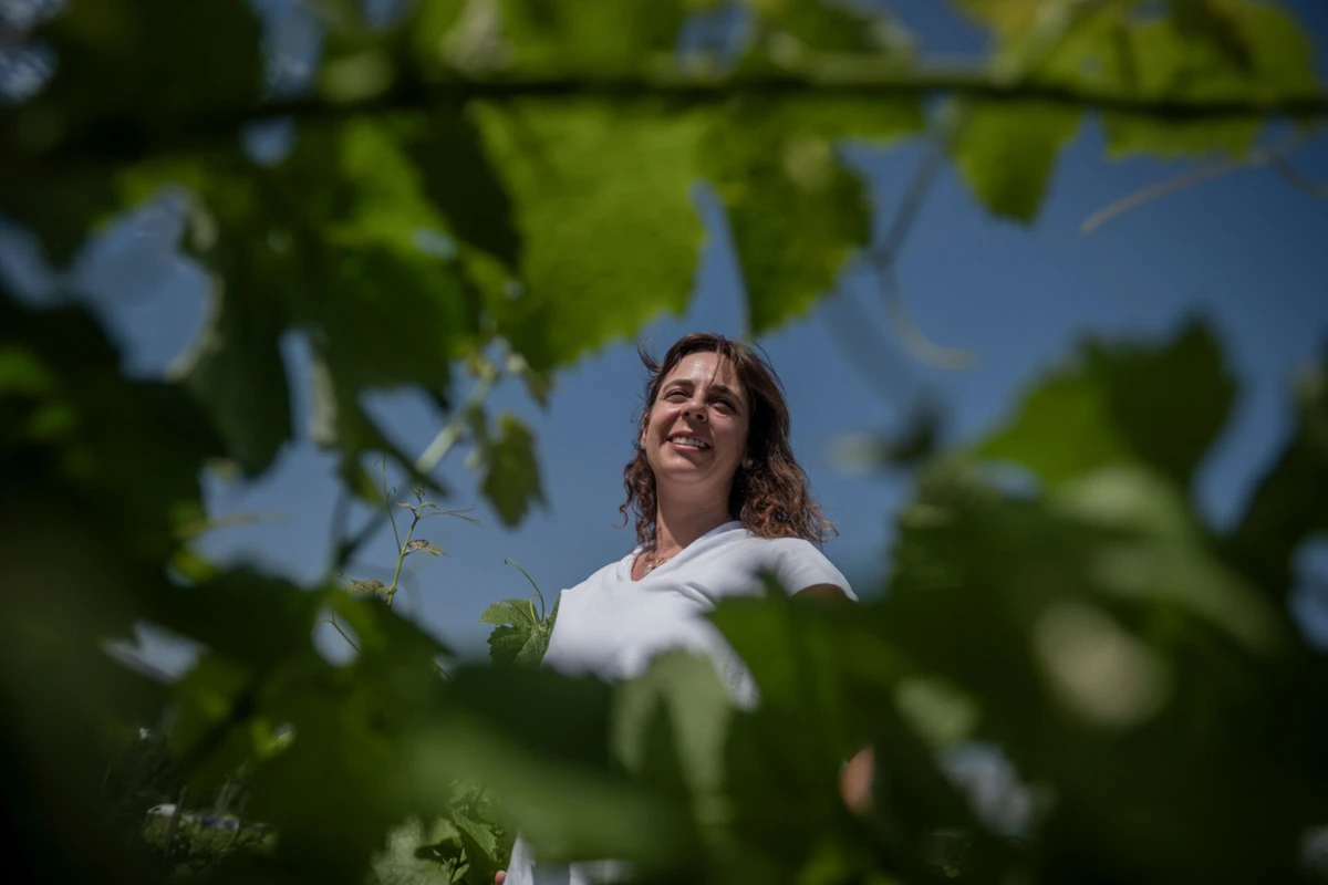Sofia Correia trocou a saúde pela investigação na área da viticultura