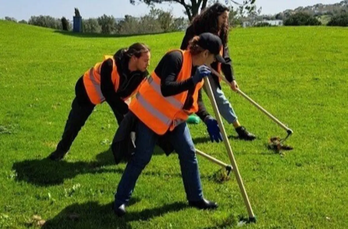 Ativistas plantaram uma variedade de espécies hortícolas e árvores autóctones