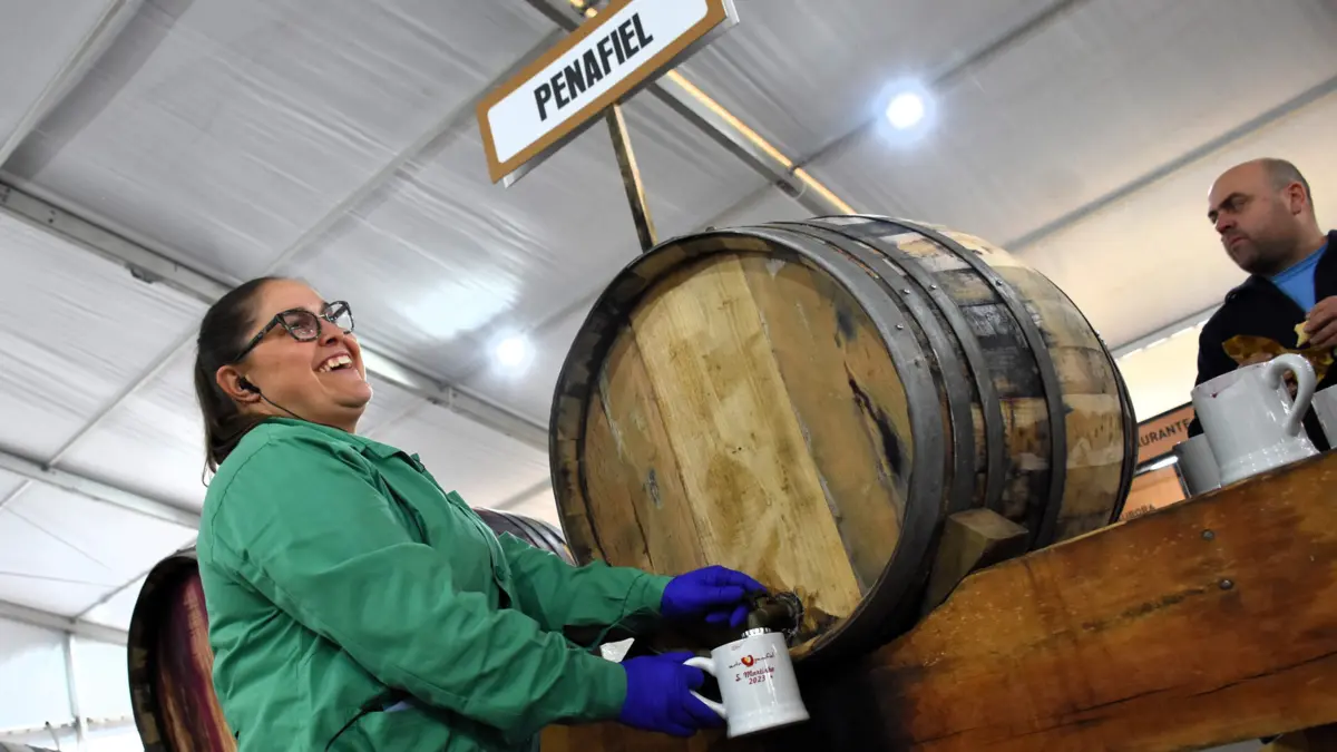 Imagem de contexto do artigo São Martinho começa em Penafiel e promete dez dias de festa e animação