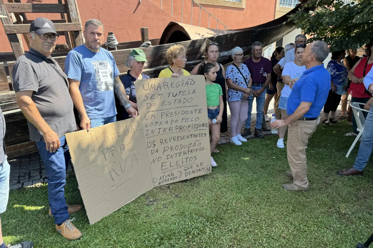 Imagem de contexto do artigo Viticultores contra corte na produção de vinho do Porto