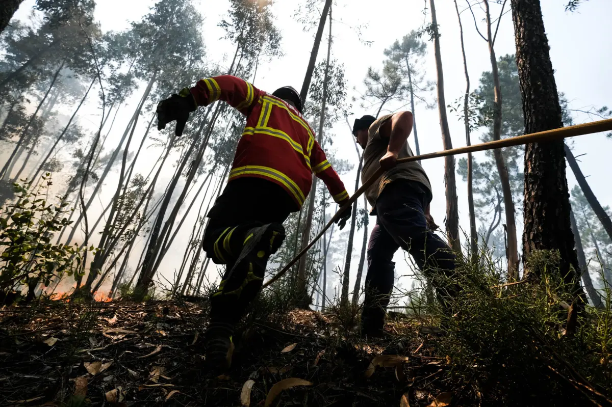 Imagem de contexto do artigo Este ano foi o primeiro sem vítimas mortais em incêndios