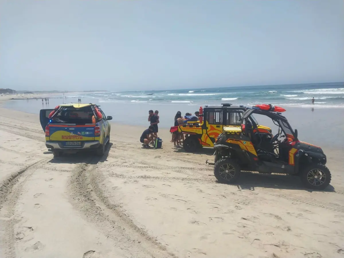 Meios de socorro na praia, em Árvore