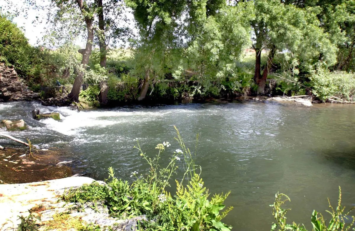 Imagem de contexto do artigo Encontrado corpo de um homem no rio Ferreira em Valongo