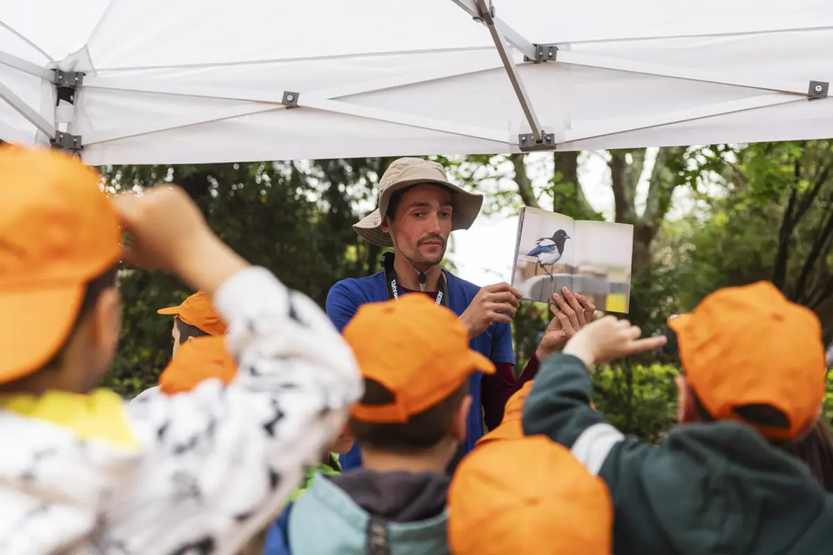 Crianças aprendem sobre a natureza através de meios alternativos